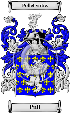 Pull Family Crest/Coat of Arms