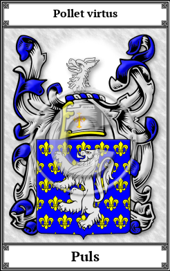 Puls Family Crest Download (JPG) Book Plated - 600 DPI
