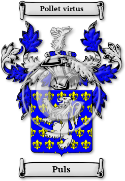Puls Family Crest Download (JPG) Legacy Series - 600 DPI