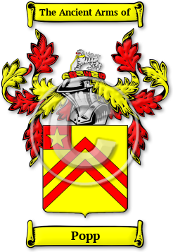 Popp Family Crest Download (JPG) Legacy Series - 600 DPI