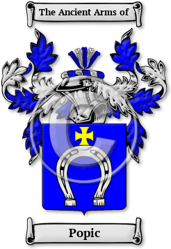 Popic Family Crest Download (jpg) Legacy Series - 150 DPI