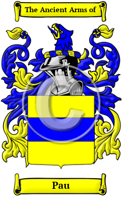 Pau Family Crest/Coat of Arms