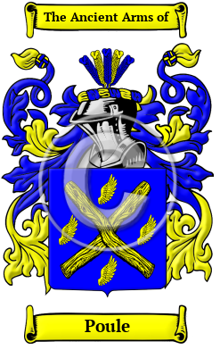 Poule Family Crest/Coat of Arms
