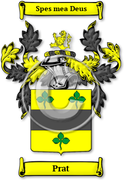 Prat Family Crest Download (jpg) Legacy Series - 150 DPI