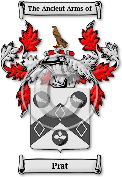Prat Family Crest Download (jpg) Legacy Series - 150 DPI