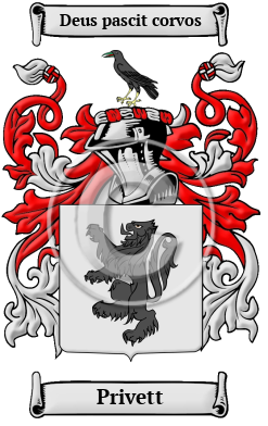Privett Family Crest/Coat of Arms