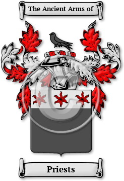 Priests Family Crest Download (jpg) Legacy Series - 150 DPI