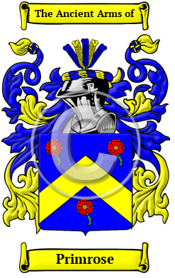 Primrose Family Crest/Coat of Arms