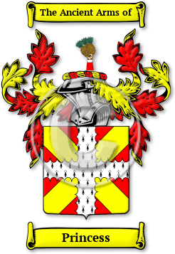 Princess Family Crest Download (jpg) Legacy Series - 150 DPI