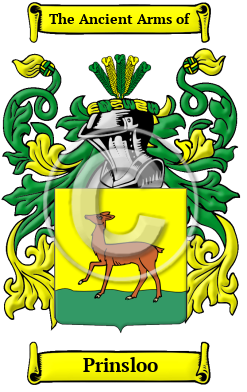 Prinsloo Family Crest/Coat of Arms