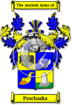 Prochaska Family Crest Download (jpg) Legacy Series - 150 DPI