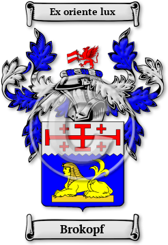 Brokopf Family Crest Download (jpg) Legacy Series - 150 DPI
