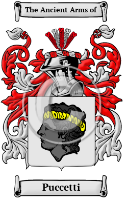 Puccetti Family Crest/Coat of Arms