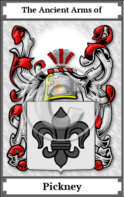 Pickney Family Crest Download (JPG)  Book Plated - 150 DPI