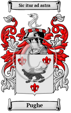 Pughe Family Crest/Coat of Arms