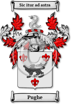 Pughe Family Crest Download (jpg) Legacy Series - 150 DPI