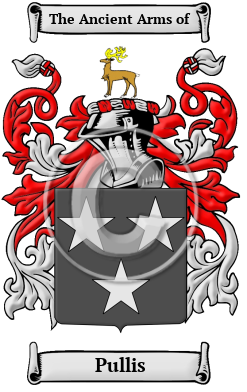 Pullis Family Crest/Coat of Arms