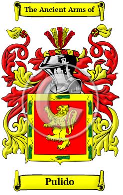 Pulido Family Crest/Coat of Arms