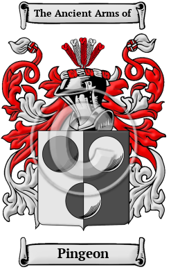 Pingeon Family Crest/Coat of Arms