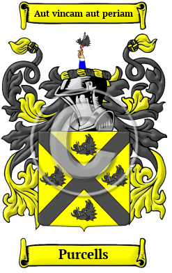 Purcells Family Crest/Coat of Arms