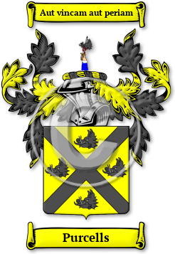 Purcells Family Crest Download (JPG) Legacy Series - 600 DPI