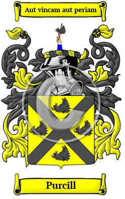 Purcill Family Crest/Coat of Arms