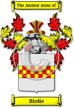 Birdie Family Crest Download (jpg) Legacy Series - 150 DPI