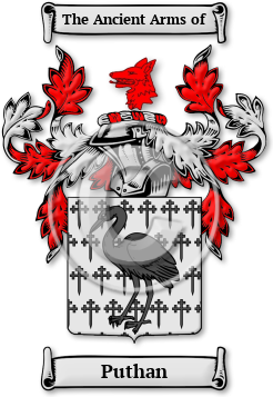 Puthan Family Crest Download (JPG) Legacy Series - 600 DPI