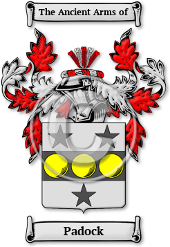 Padock Family Crest Download (jpg) Legacy Series - 150 DPI