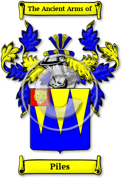 Piles Family Crest Download (jpg) Legacy Series - 150 DPI