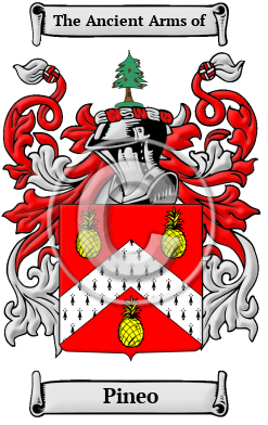 Pineo Family Crest/Coat of Arms