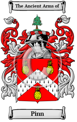 Pinn Family Crest/Coat of Arms