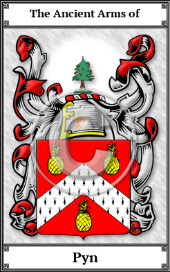 Pyn Family Crest Download (JPG) Book Plated - 300 DPI