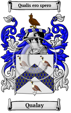 Qualay Family Crest/Coat of Arms