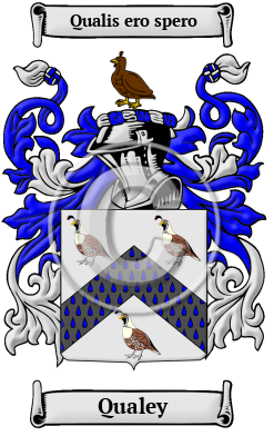 Qualey Family Crest/Coat of Arms