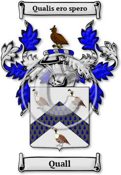 Quall Family Crest Download (JPG) Legacy Series - 600 DPI