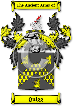 Quigg Family Crest Download (jpg) Legacy Series - 150 DPI