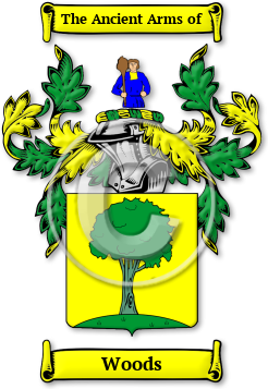 Woods Family Crest Download (JPG) Legacy Series - 600 DPI