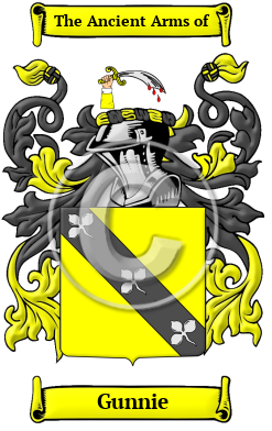 Gunnie Family Crest Download (JPG) Heritage Series - 600 DPI