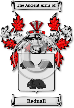 Rednall Family Crest Download (jpg) Legacy Series - 150 DPI