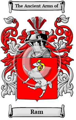 Ram Name Meaning, Family History, Family Crest & Coats of Arms, Dutch
