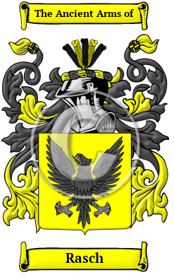 Rasch Family Crest/Coat of Arms