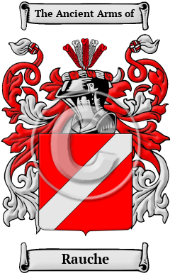 Rauche Family Crest Download (JPG) Heritage Series - 600 DPI