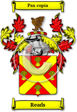 Reads Family Crest Download (jpg) Legacy Series - 150 DPI