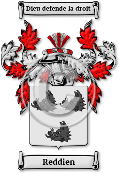 Reddien Family Crest Download (jpg) Legacy Series - 150 DPI