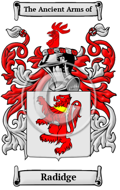 Radidge Family Crest/Coat of Arms
