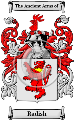 Radish Family Crest/Coat of Arms