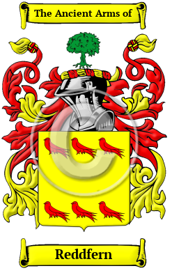 Reddfern Family Crest Download (JPG) Heritage Series - 600 DPI