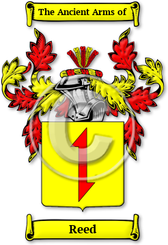 Reed Family Crest Download (jpg) Legacy Series - 150 DPI