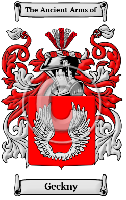 Geckny Family Crest/Coat of Arms